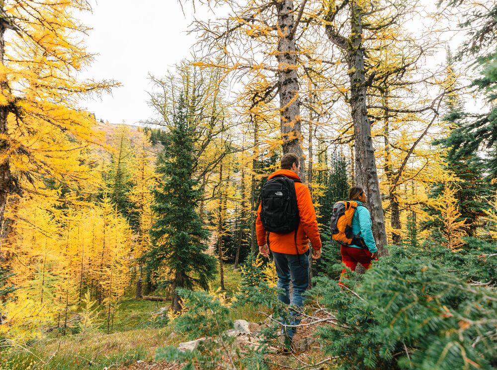 Romantic Fall Getaway in Banff and Lake Louise: A Couples Trip to Relax, Recharge and Connect